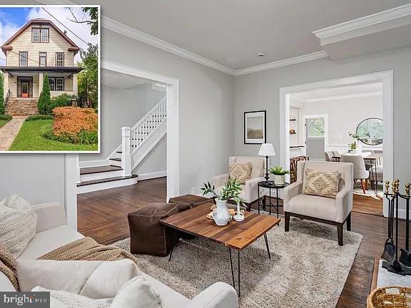 living room featuring ornamental molding and dark wood-type flooring