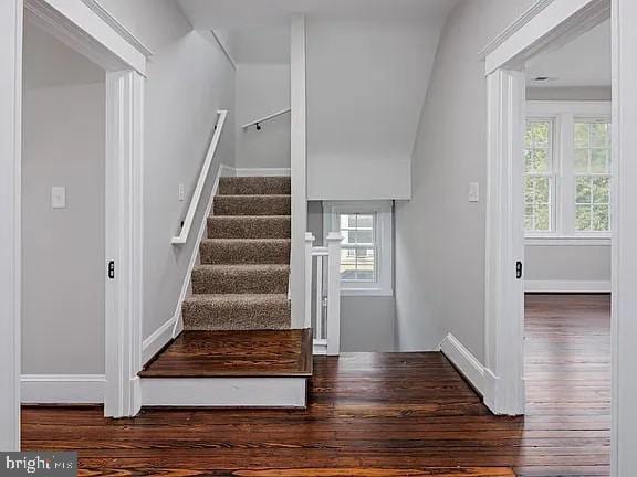 staircase with hardwood / wood-style floors