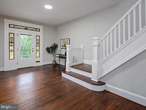 foyer featuring dark wood-type flooring