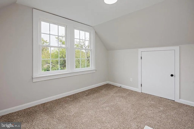 additional living space with vaulted ceiling and carpet flooring