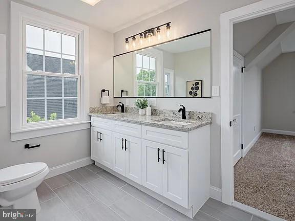 bathroom with toilet and vanity