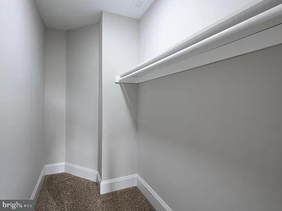 spacious closet with carpet flooring