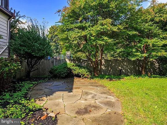 view of yard featuring a patio area