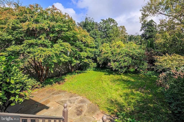 view of yard with a patio