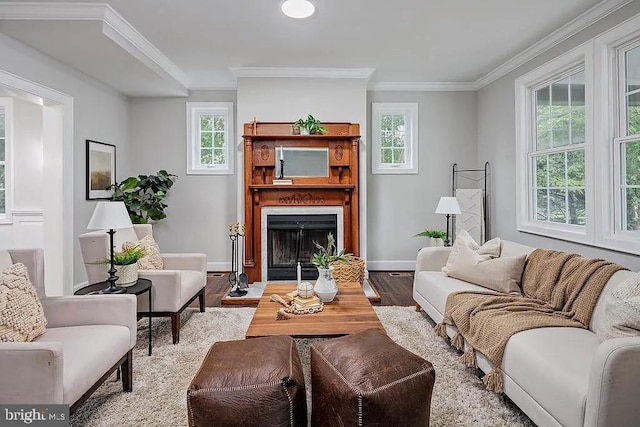 living room with hardwood / wood-style floors and crown molding