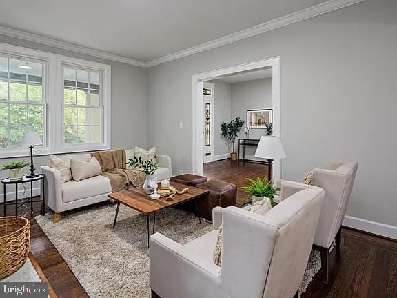 living room featuring ornamental molding and dark wood-type flooring