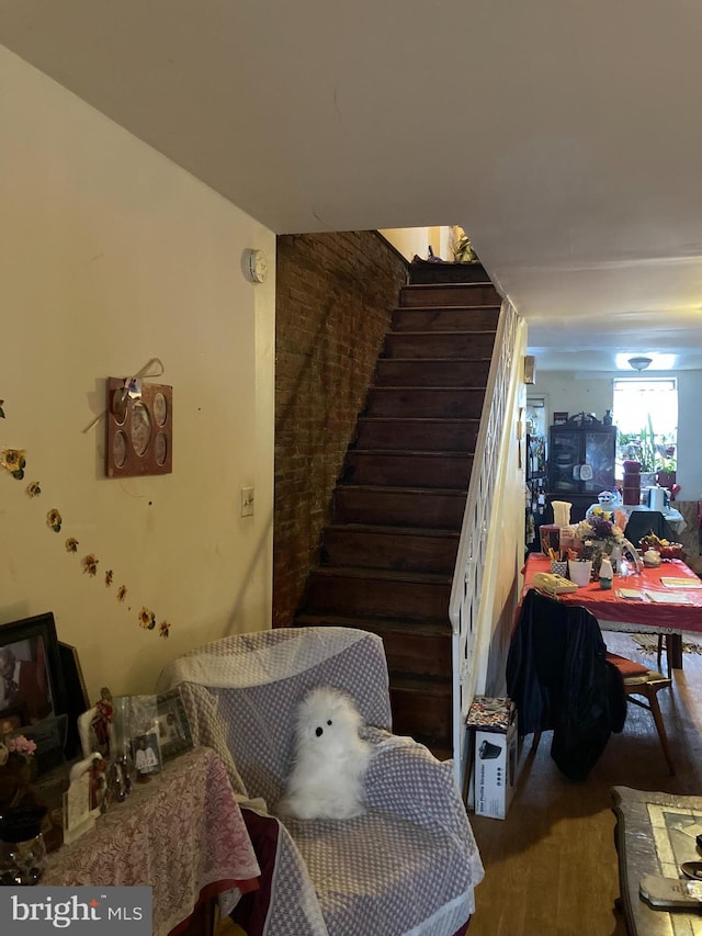 dining area featuring hardwood / wood-style floors