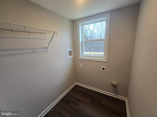 clothes washing area featuring electric dryer hookup, hookup for a washing machine, and dark hardwood / wood-style flooring