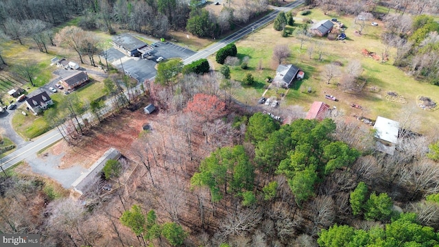 bird's eye view