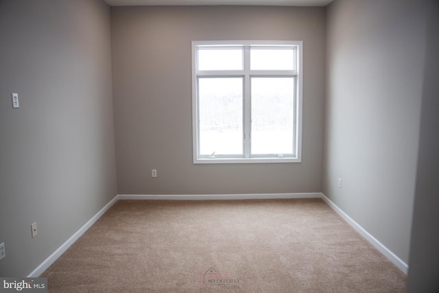 spare room featuring light carpet