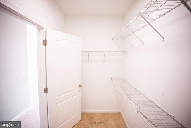 walk in closet featuring light colored carpet
