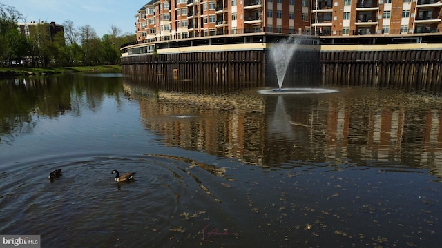 water view