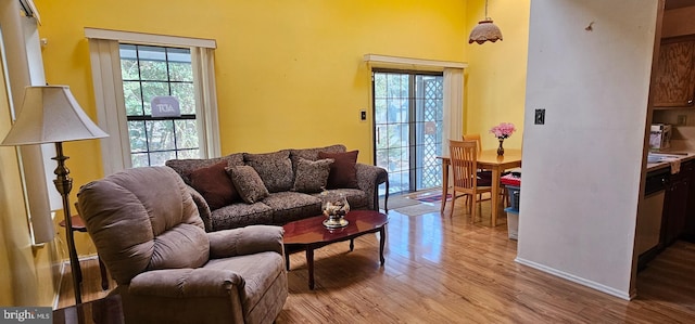 living room with light hardwood / wood-style floors