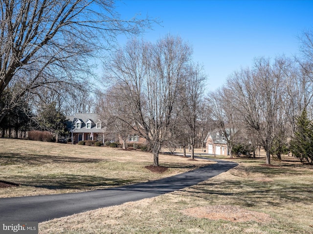 view of street featuring driveway