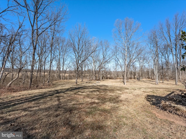 view of yard with a rural view