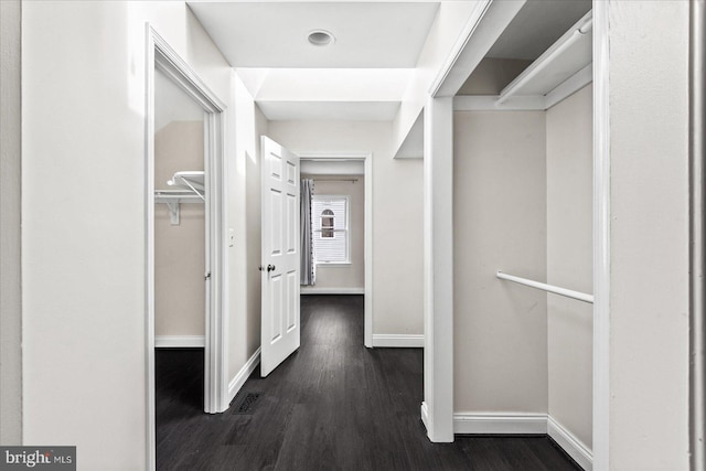 spacious closet with dark hardwood / wood-style flooring