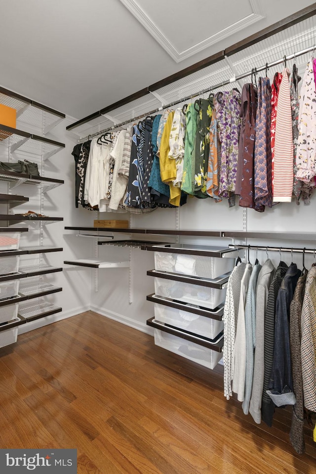 walk in closet featuring wood finished floors