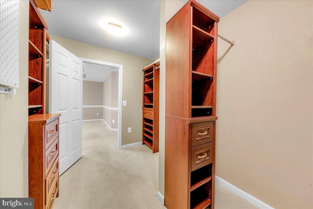 spacious closet featuring light colored carpet