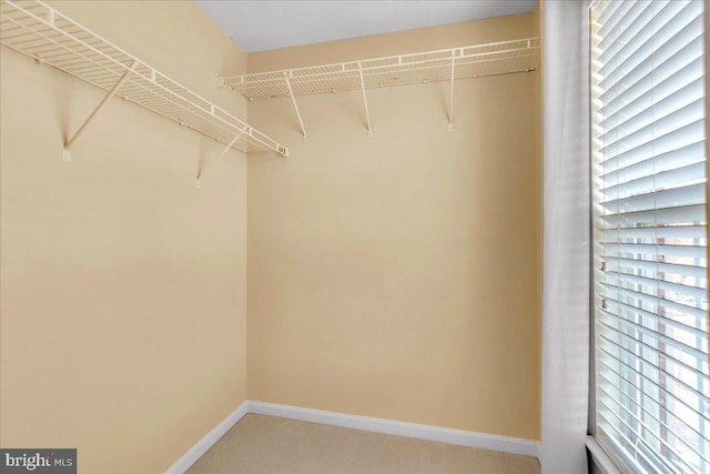 walk in closet with light colored carpet