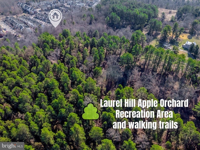 aerial view with a forest view