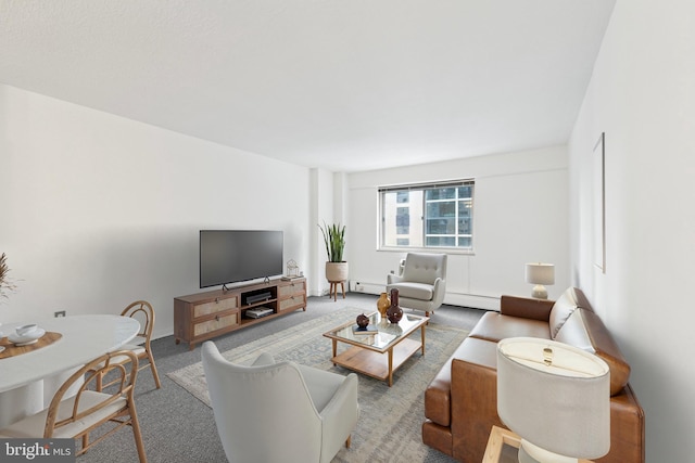 living room with carpet flooring and a baseboard heating unit