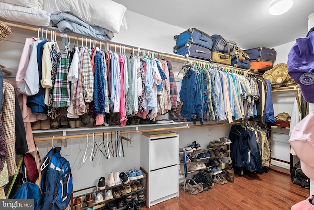 9801 Alydar Ct, Nokesville, VA 20181 - walk in closet featuring wood finished floors
