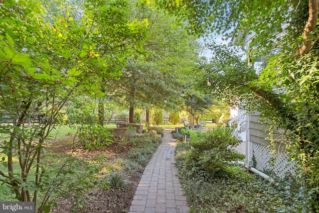 9801 Alydar Ct, Nokesville, VA 20181 - view of yard