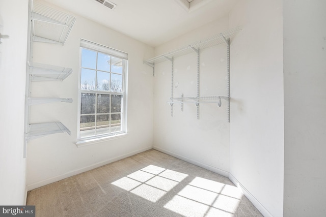 spacious closet featuring carpet flooring