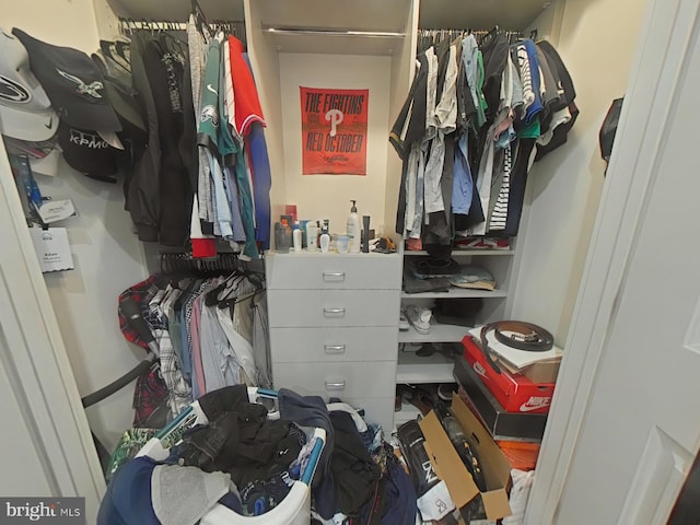 view of spacious closet