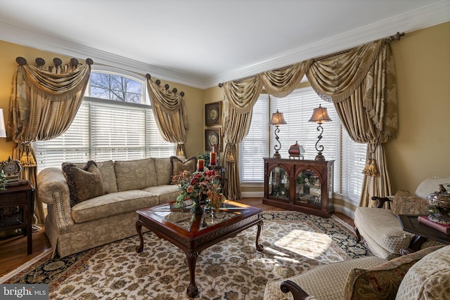 living room featuring baseboards, wood finished floors, and crown molding