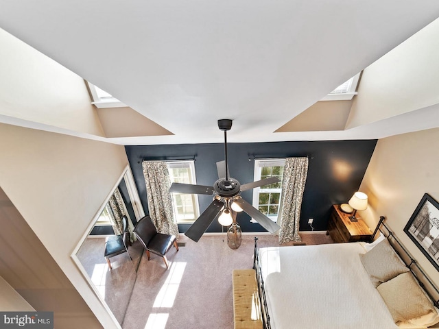 room details with ceiling fan, a skylight, and carpet flooring