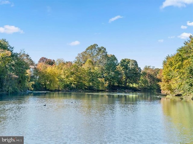 water view with a forest view