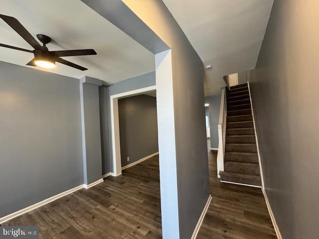 stairs with hardwood / wood-style flooring and ceiling fan