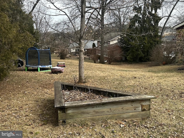 view of yard featuring a trampoline