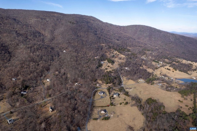 Listing photo 2 for 0 Saddle Hollow Rd, Crozet VA 22932