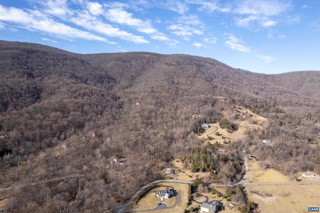 Listing photo 3 for 0 Saddle Hollow Rd, Crozet VA 22932