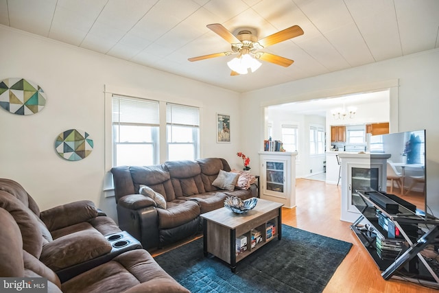 living room featuring ceiling fan with notable chandelier, crown molding, and wood finished floors