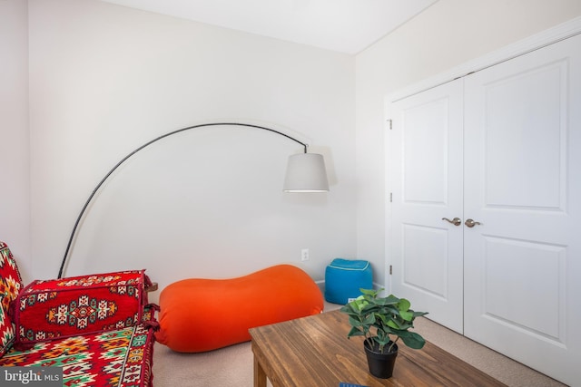 sitting room with carpet flooring