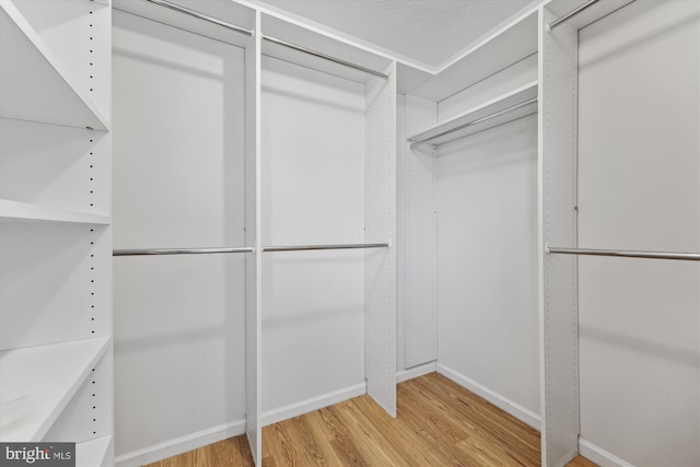 spacious closet featuring wood finished floors