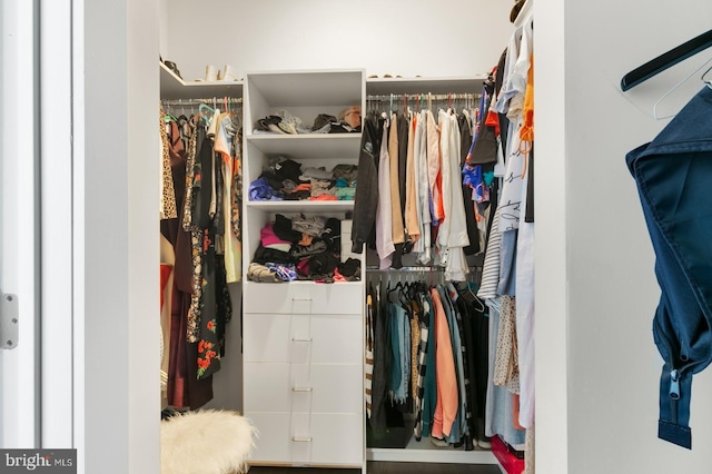 view of spacious closet