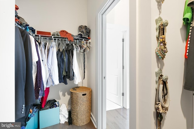 walk in closet featuring wood finished floors