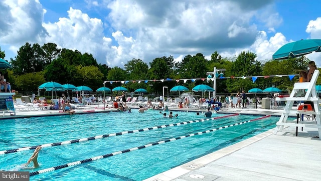 view of pool featuring a patio area