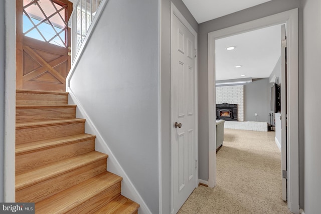 stairway featuring carpet flooring