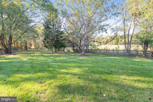 10928 Woodland Falls Dr, Great Falls, VA 22066 - view of yard
