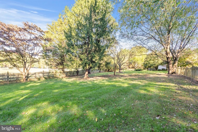 10928 Woodland Falls Dr, Great Falls, VA 22066 - view of yard