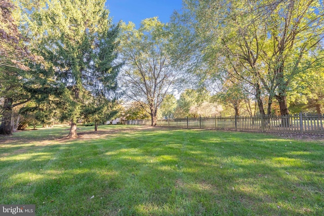 10928 Woodland Falls Dr, Great Falls, VA 22066 - view of yard