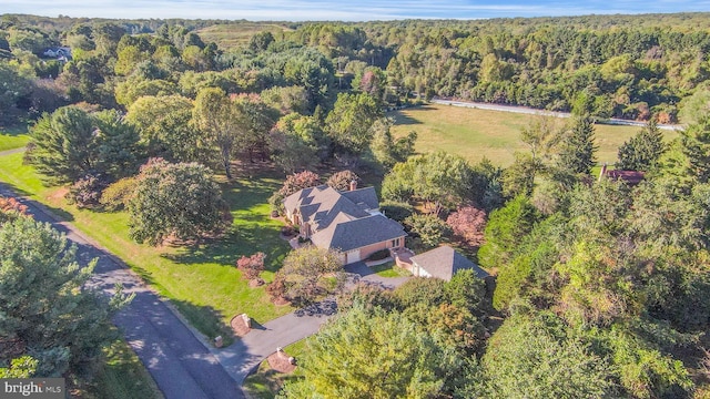 10928 Woodland Falls Dr, Great Falls, VA 22066 - view of property location featuring a forest