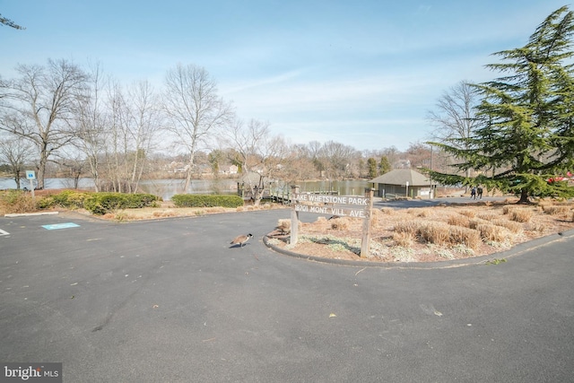 view of road with curbs