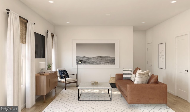 living area featuring light hardwood / wood-style floors