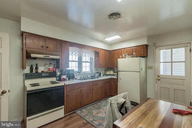 kitchen featuring sink, white appliances, and dark hardwood / wood-style floors